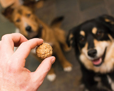 Original Beer Paws Peanut Butter Flavor Beer Biscuits Craft Beer Treats for Dogs
